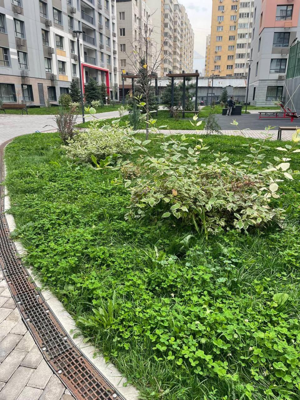 3 Bedroom With 2 Restroom In The Ala Park Business Class Apartment Almaty
